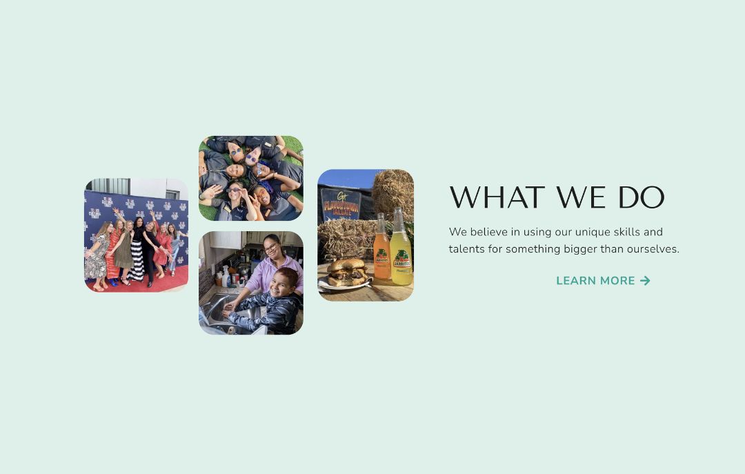 Homepage – What We Do